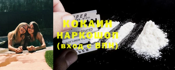 шишки Белоозёрский