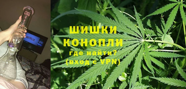 mdpv Богородицк