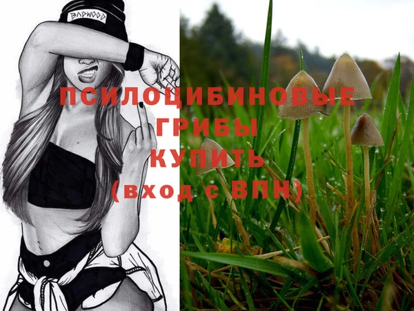 MESCALINE Богородск