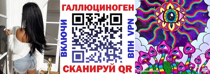 Галлюциногенные грибы Psilocybine cubensis  Светлогорск 
