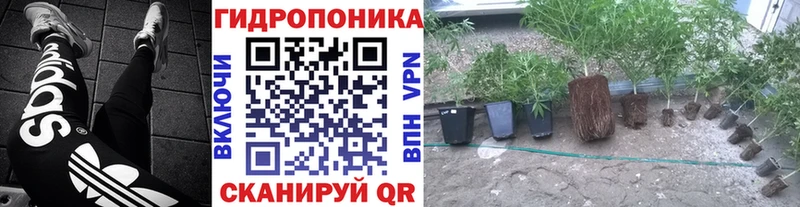 KRAKEN как зайти купить закладку Светлогорск Шишки марихуана план
